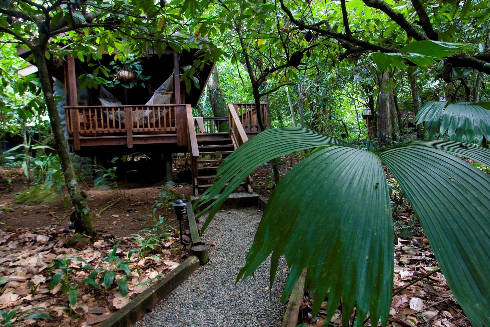 The Lodge & Spa At Pico Bonito El Pino المظهر الخارجي الصورة
