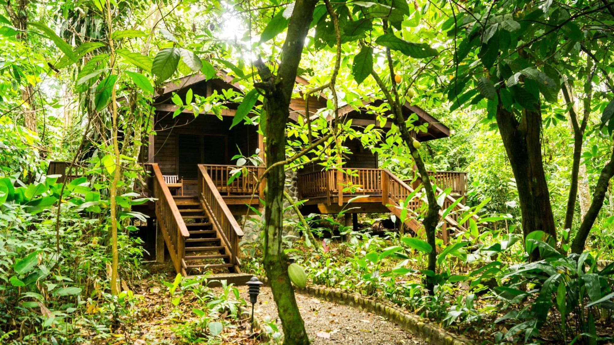 The Lodge & Spa At Pico Bonito El Pino المظهر الخارجي الصورة